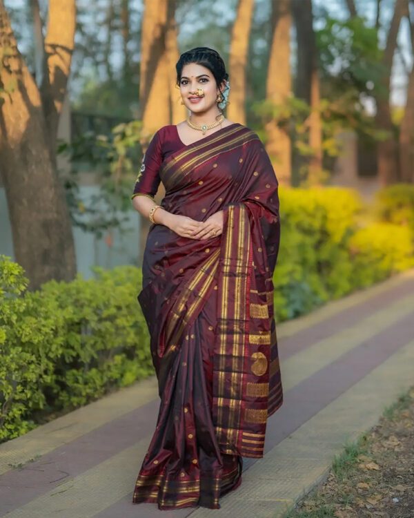 Premium Two Tone Silk Saree