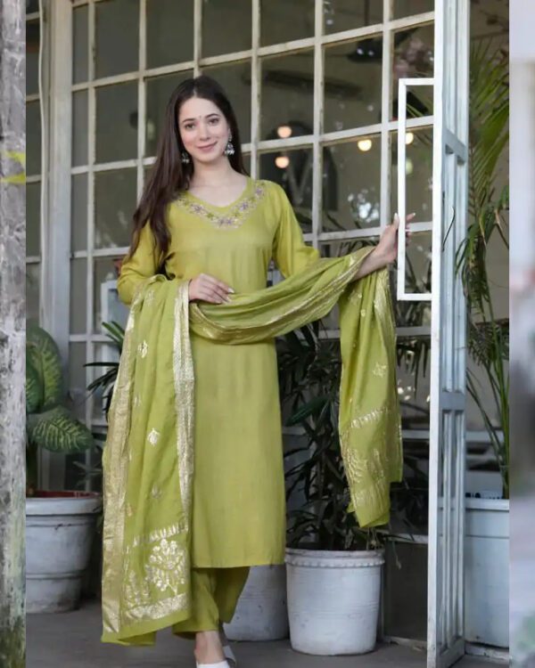 elegant hand embroidery Suit set